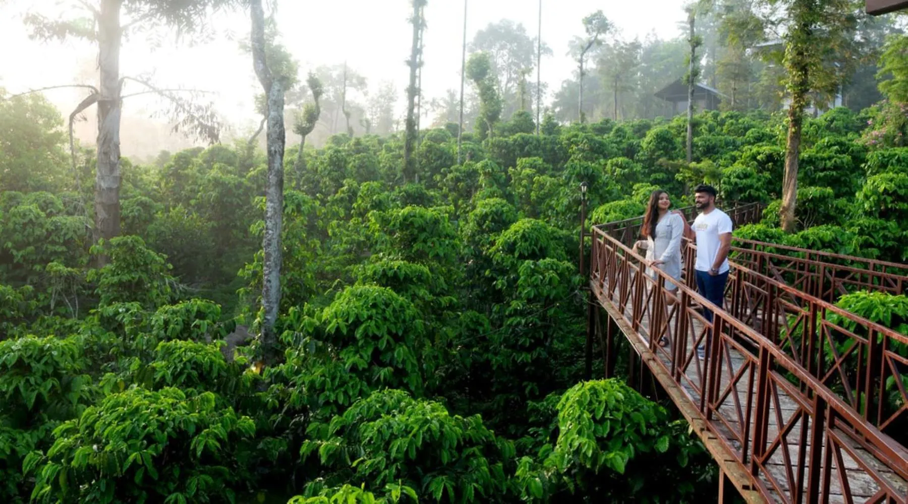 Niyatma Wayanad Pool Resort By Voye Homes