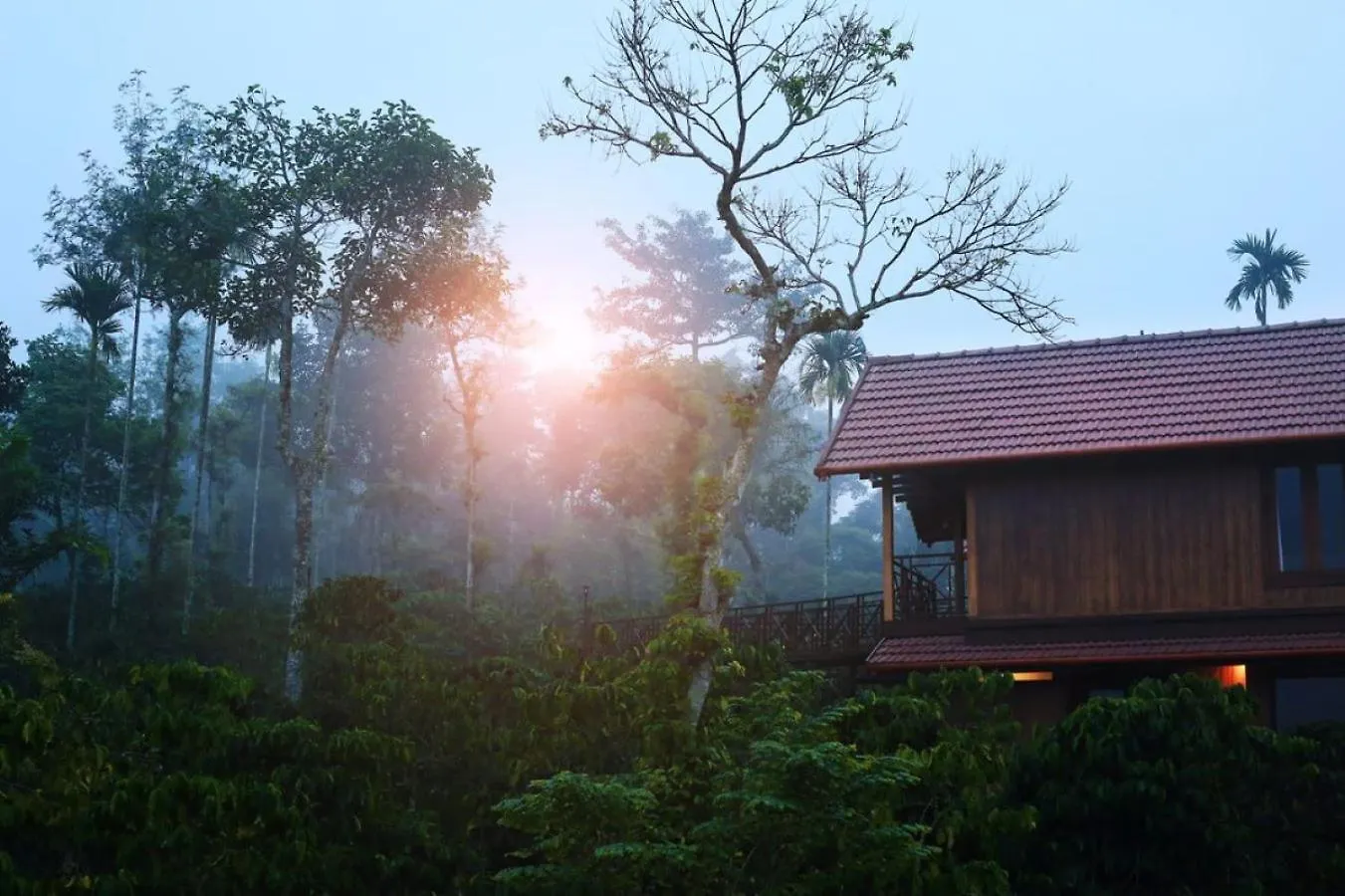 Niyatma Wayanad Pool Resort By Voye Homes