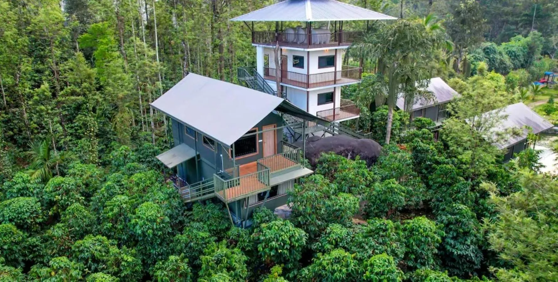 Niyatma Wayanad Pool Resort By Voye Homes
