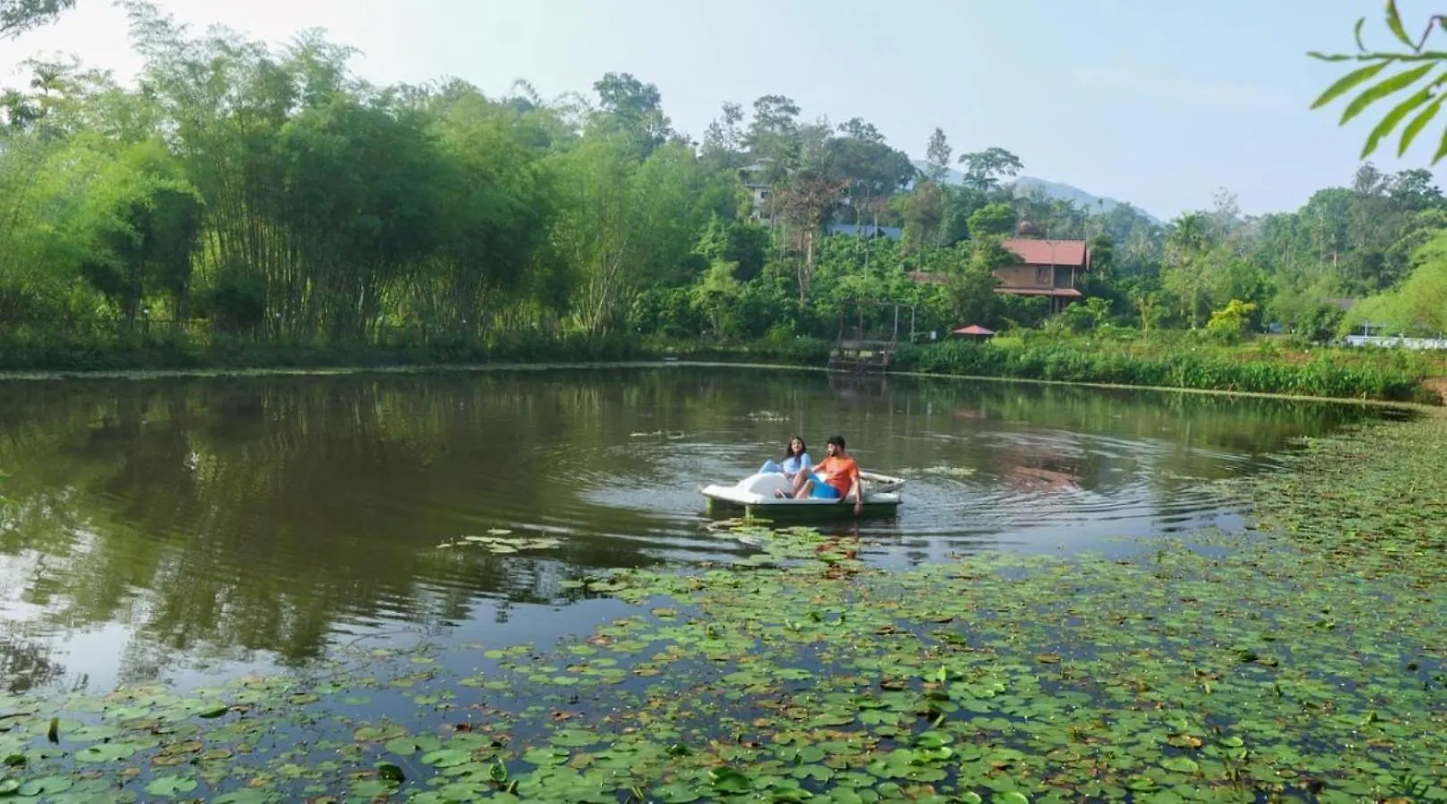 Niyatma Wayanad Pool Resort By Voye Homes