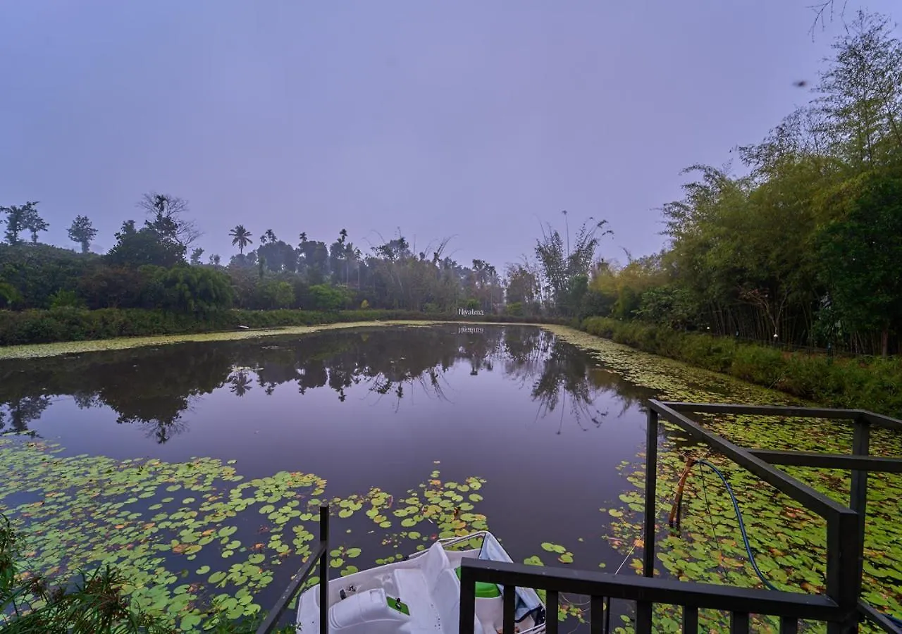 Niyatma Wayanad Pool Resort By Voye Homes