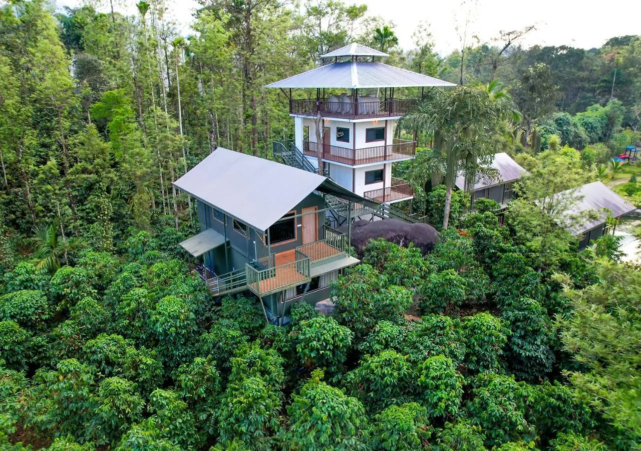 Niyatma Wayanad Pool Resort By Voye Homes