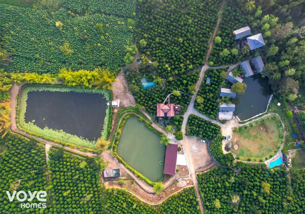 Niyatma Wayanad Pool Resort By Voye Homes
