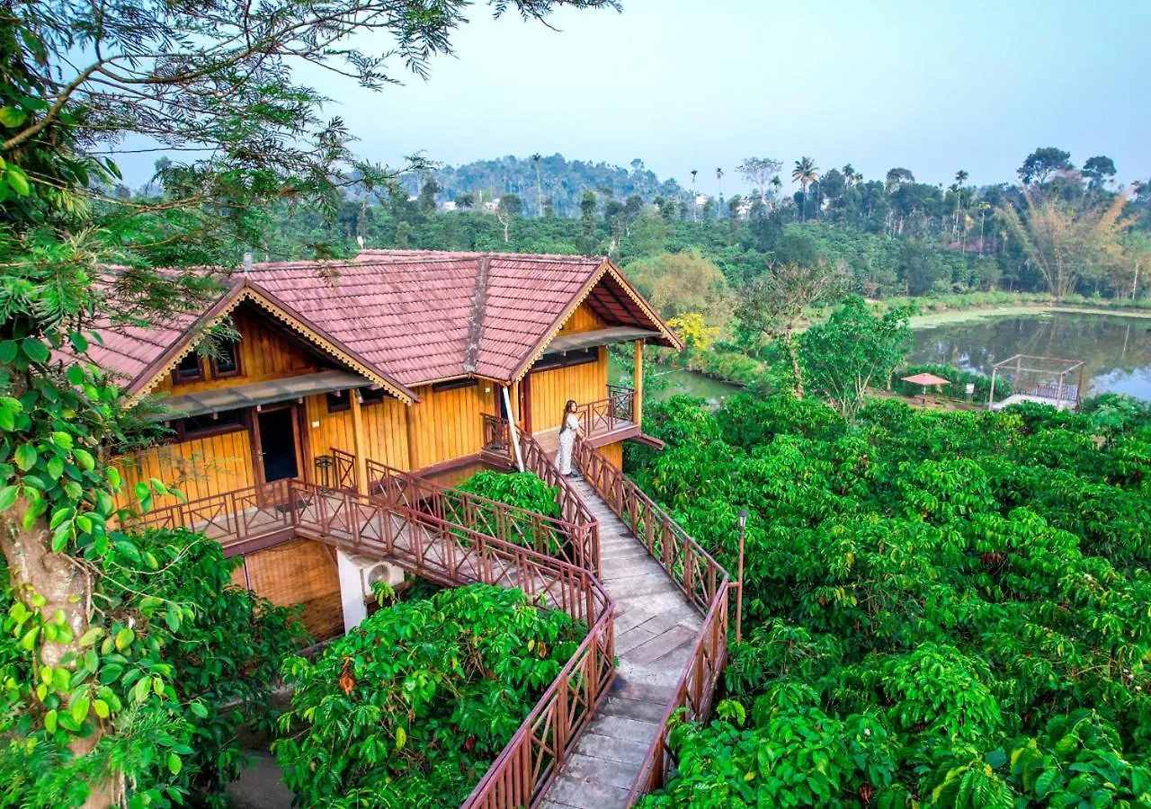 Niyatma Wayanad Pool Resort By Voye Homes