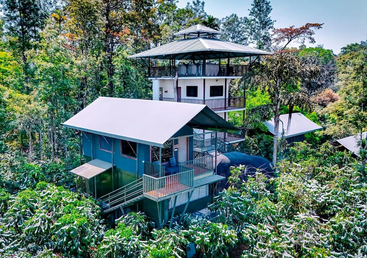 Niyatma Wayanad Pool Resort By Voye Homes